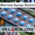 Жесткое Бычье Золото viagra3